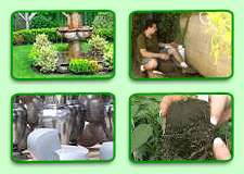 Organic Gardening Interesting Videos